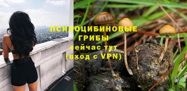 дурь Балахна