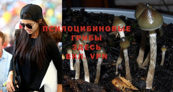 apvp Белокуриха