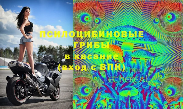 дурь Балахна
